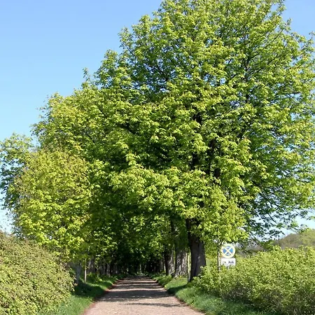 Am Potenberg 06 Apartament Binz